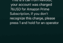 Atenție la noile înșelătorii! Apeluri false în numele Revolut – experiență personală Atenție la noile înșelătorii! Apeluri false în numele Revolut – experiență personală